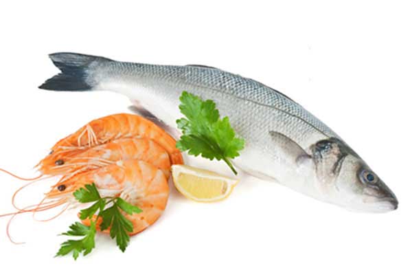 bảo quản thịt bò tươi, các loại thịt tươi & hải sản đông lạnh với đá gel CoolMagic