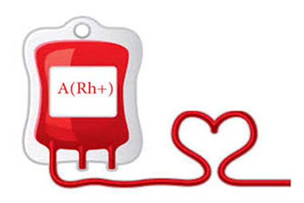 bảo quản lạnh & vận chuyển máu với đá gel CoolMagic