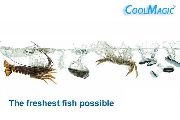 bảo quản hải sản tươi với đá gel